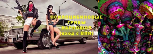 экстази Белокуриха
